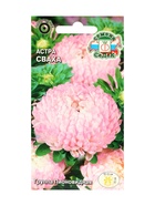 Набор семян Астра "Сваха , 5 шт. - Фото 1