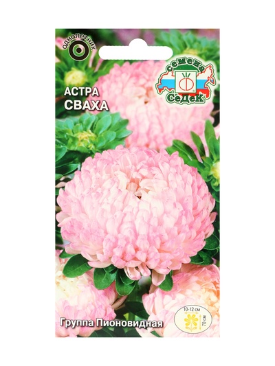 Набор семян Астра "Сваха , 5 шт.