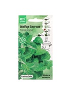 Набор семян Мята и мелисса "Набор для чая", 5 шт. - фото 61955651