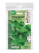 Набор семян Мята и мелисса "Набор для чая", 5 шт. - фото 23280352