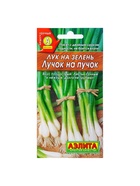 Набор семян Лук на зелень "Лучок на пучок", 5 шт. - Фото 1