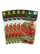 Набор семян Томат "Клюква в сахаре", раннеспелый,детерминантный, 5 шт. 10930163