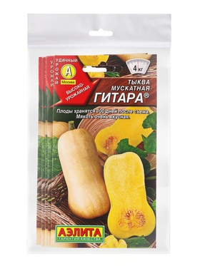Набор семян Тыква мускатная "Гитара",  5 шт.