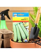 Набор семян Кабачок "Кавили", 4 шт. - фото 61955693