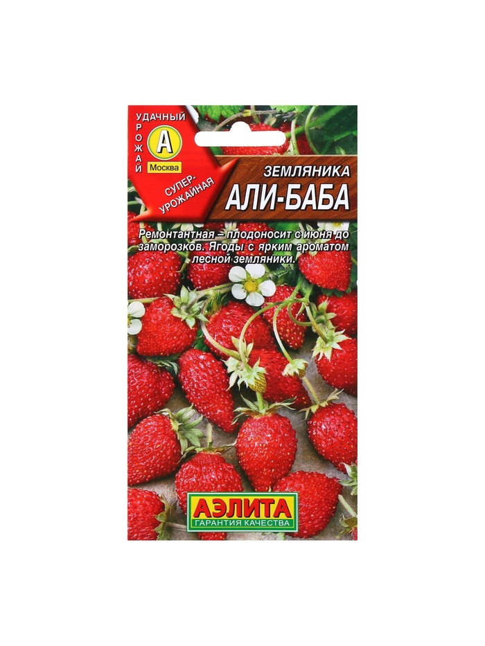 Набор семян Земляника "Али Баба" ремонтантная, 5 шт. - Фото 1