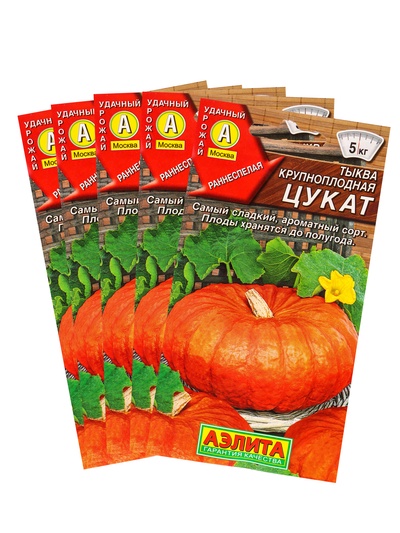 Набор семян Тыква крупноплодная "Цукат", 5 шт.