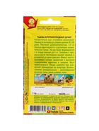 Набор семян Тыква крупноплодная "Цукат",  5 шт. - фото 61955699