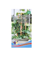 Набор семян Огурец "Красавчик Хикмет", для балконов и подоконников, F1, 4 шт. - фото 809350839