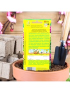 Набор семян Капуста декоративная "Принцесса", смесь окрасок, О, 5 шт. - фото 61955753