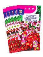 Набор семян Камнеломка "Бархатный ковер", 5 шт. - фото 23280378