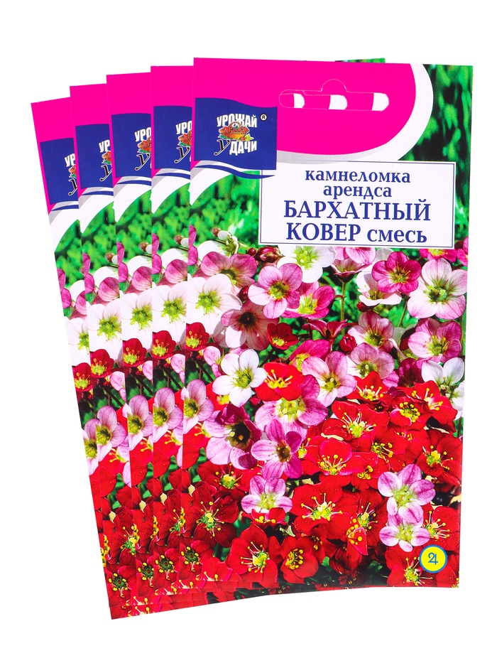 Набор семян Камнеломка "Бархатный ковер", 5 шт. - Фото 1