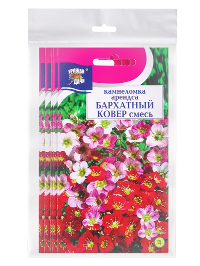 Набор семян Камнеломка "Бархатный ковер", 5 шт.