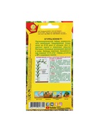 Набор семян Огурец "Конни" F1, среднеранний, партенокарпический, 5 шт. - фото 809350877