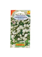 Набор семян Гипсофила "Снежная вьюга", 5 шт. - фото 61955773