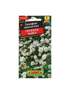 Набор семян Гипсофила "Снежная вьюга", 5 шт. - фото 61955775