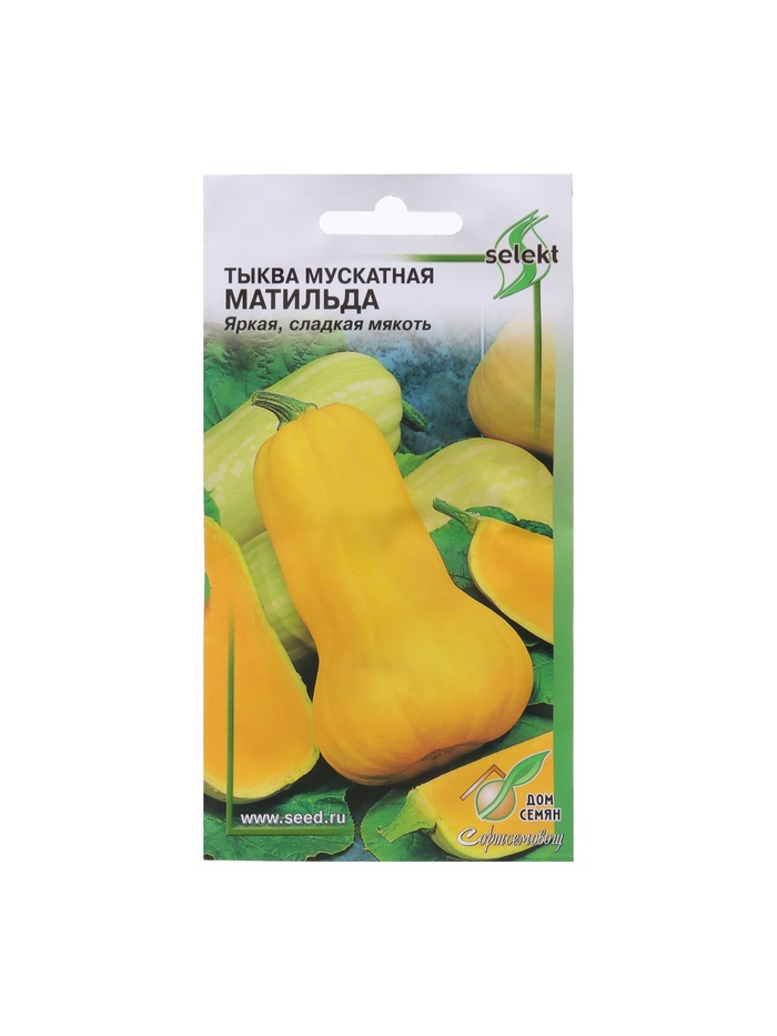 Набор семян Тыква мускатная "Матильда" select, 5 шт. - Фото 1