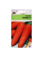 Набор семян Морковь "Канада", 5 шт. - фото 61955839