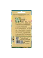 Набор семян Кабачок "Искандер", 4 шт. - фото 61955842