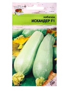 Набор семян Кабачок "Искандер", 4 шт. - фото 61955843