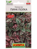 Набор семян Гипоэстес "Пинк Полка",  5 шт. - Фото 1