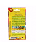 Набор семян Тыква мускатная "Большой шлем",  5 шт. - фото 61955874