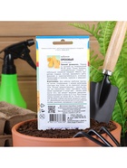 Набор семян Кабачок «Ореховый», 5 шт., «Мой выбор» - Фото 8