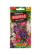 Набор семян Вербаскум "Водопад", 5 шт. - фото 61955893