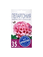 Набор семян Пеларгония "Маверик Стар", F1, 3 шт. - фото 61955899