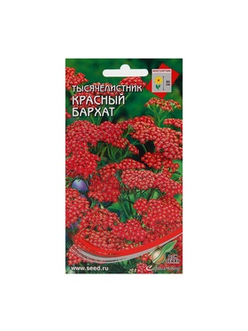 Набор семян Тысячелистник "Ахиллея", 5 шт.