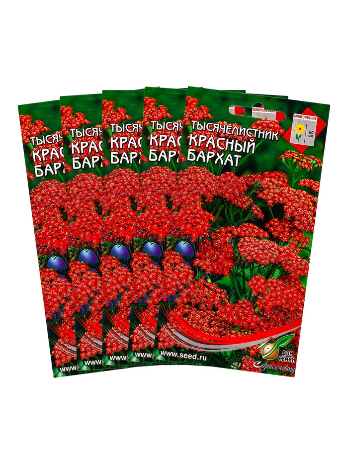 Набор семян Тысячелистник "Ахиллея", 5 шт. - Фото 1