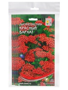 Набор семян Тысячелистник "Ахиллея", 5 шт. - фото 63632889
