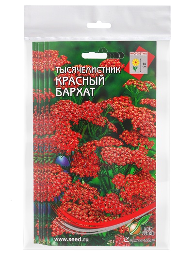 Набор семян Тысячелистник "Ахиллея", 5 шт.