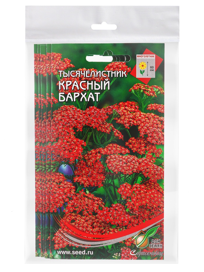 Набор семян Тысячелистник "Ахиллея", 5 шт. - Фото 1