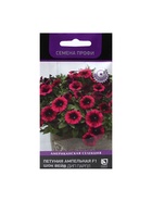 Набор семян Петуния ампельная F1 "Шок Вейв Дип Парпл" , 2 шт. - фото 61955922