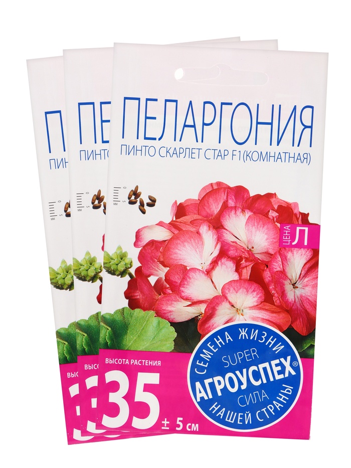 Набор семян Пеларгония "Пинто Скарлет Стар", F1, 3 шт. - Фото 1