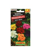 Набор семян Примула "Розелла", смесь окрасок, F1, 4 шт. - фото 809351050
