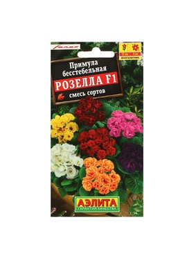 Набор семян Примула "Розелла", смесь окрасок, F1, 4 шт.