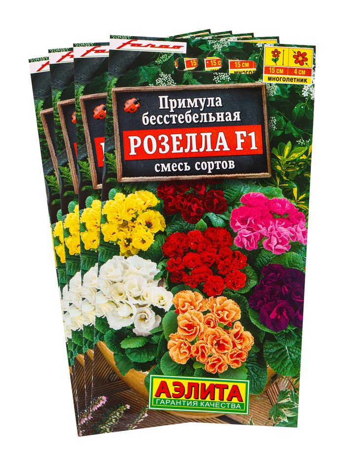 Набор семян Примула "Розелла", смесь окрасок, F1, 4 шт. - Фото 1