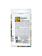 Набор семян Кабачок "Апельсинка", F1, 5 шт. - фото 61955935