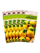 Набор семян Кабачок «Апельсинка», F1, 5 шт., «Мой выбор» - Фото 6