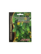 Набор семян Огурец "Миллионер" F1 раннеспелый, урожайный, партенокарпический, 3 шт. - фото 809351066