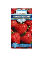 Набор семян Земляника "Гигант русский",  F1, серия Русский богатырь, 3 шт. - фото 61955950