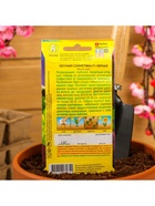 Набор семян Петуния Софистика черная F1 крупноцветковая, 4 шт., 2 шт. - фото 61955959