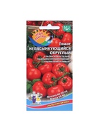 Набор семян Томат "Непасынкующийся Округлый"раннеспелый, 5 шт. - фото 809351086