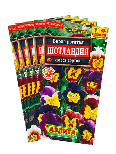 Набор семян Виола "Шотландия", 5 шт.