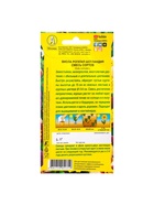 Набор семян Виола "Шотландия", 5 шт. - фото 809351105