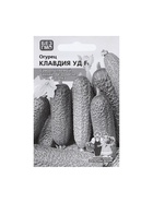 Набор семян Огурец "Клавдия", F1, 5 шт. - фото 809351108