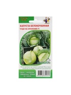 Набор семян Капусты белокочанной "Чудо на хранение" F1, 5 шт. - фото 809351126