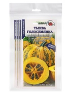 Набор семян Тыква "Голосемянка", среднеранняя, 5 шт. - фото 23280478