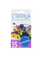 Набор семян Статица Мечта флориста, смесь, О, 5 шт. - фото 61956052